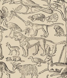 Essempio di recammi, pagina 13 recto, 1530 door Giovanni Antonio Tagliente