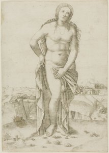 Venus door Giovanni Antonio da Brescia