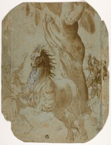 Bekering van St. Paulus (recto); Man Gezien van Achteren (verso) door Giovanni Antonio da Pordenone