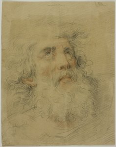 Hoofd van King Lear
