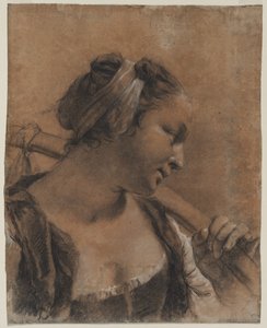 Een Portret van Rosa met een Schouderstok
