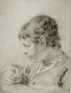 Portret van een jonge jongen