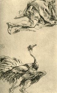 Een rennende Struisvogel, 1752-1753, 1928 door Giovanni Battista Tiepolo