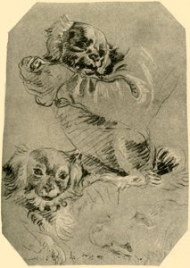 Bologna-honden, 1751-1752