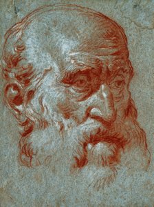 Hoofd van een Venetiaanse patriciër, driekwart gezicht door Giovanni Battista Tiepolo