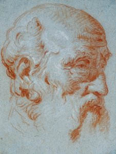 Studie van de Buste van Giulio Contarini van Links