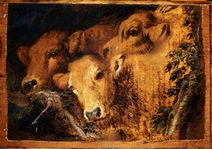 Drie koppen van Etude kalf. Schilderij door Giovanni Benedetto Castiglione genaamd il Grechetto (1610-1665) Zon. 24x35 cm Genua, Musei di Strada Nuova door Giovanni Benedetto Castiglione