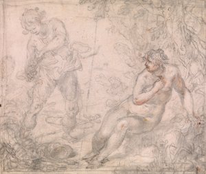 Ruggiero bevrijdt Angelica