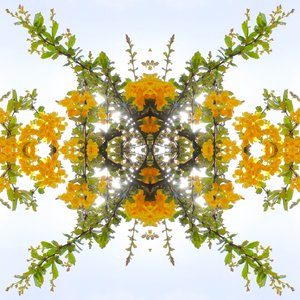 Onnatuurlijk 175