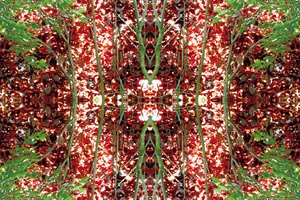 Onnatuurlijk 23