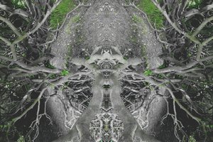 Onnatuurlijk 42