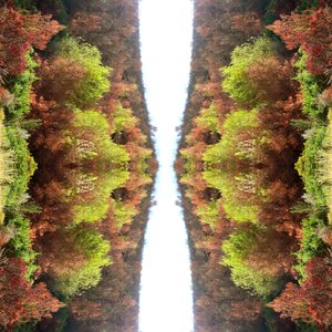 Onnatuurlijk 77