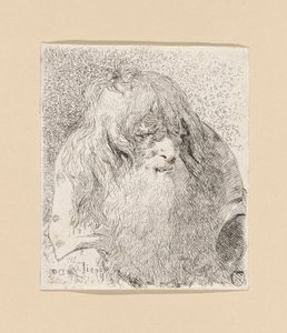 Oude man met een baard en lang haar, uit de Raccolta di Teste (Collectie van Hoofden) door Giovanni Domenico Tiepolo