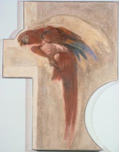 Papegaai door Giovanni Domenico Tiepolo