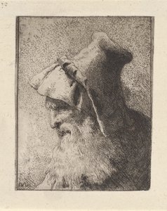 Profiel van een Oudere Man met een Baard, uit de Raccolta di Teste (Collectie van Hoofden) door Giovanni Domenico Tiepolo