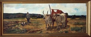 Italië, Florence, Maremma Toscana, circa 1894