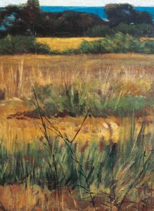 Maremma Toscana, circa 1894 (detail) door Giovanni Fattori