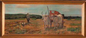 Maremma