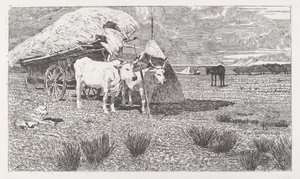 Ossen aan de Kar (Maremma) door Giovanni Fattori