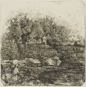 Bomen in een weiland