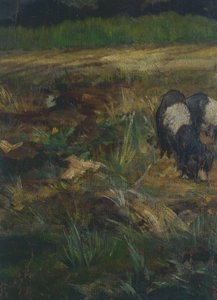 Toscaanse Maremma (detail)