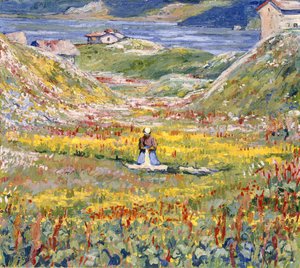 Bloeiende weiden in Maloja; Blühende Wiesen bei Maloja, ca. 1912-1924