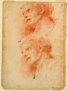 Vier Studies naar het Hoofd van een Man door Giovanni Giardini