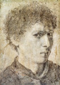 Hoofd van een jonge jongen, tekening door Gian Girolamo Savoldo, zwart potlood en wit krijt, Italië