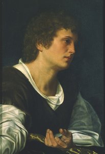 St. Johannes de Evangelist door Giovanni Girolamo Savoldo