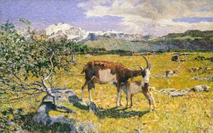 De Alpen in mei
