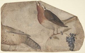 Vogel eet druiven recto, tijgerin verso
