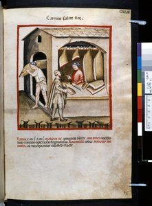Theatrum sanitatis door Ububchasym de Baldach: 