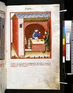 Theatrum sanitatis door Ububchasym de Baldach: 