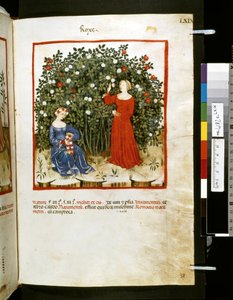 Theatrum sanitatis door Ububchasym de Baldach: 