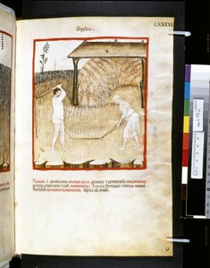 Theatrum sanitatis door Ububchasym de Baldach: 