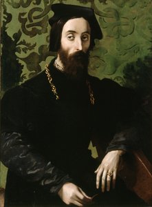 Portret van een musicus, ca.1540 (olieverf op paneel) door Girolamo Mazzola (attr.) Bedoli