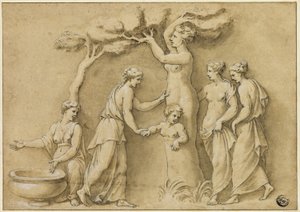 Geboorte van Adonis