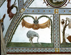 De Camera con Fregio di Amorini detail van een struisvogel (detail) door Giulio Romano