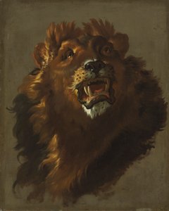 Leeuw