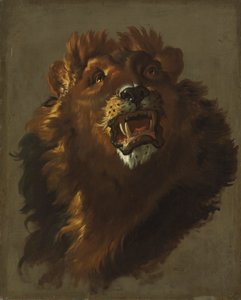 Leeuw