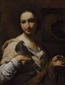 Meisje met een duif door Giuseppe Maria Crespi