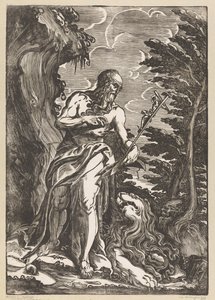 Heilige Hieronymus in de wildernis