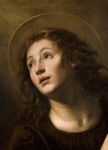 Sint Jan de Evangelist