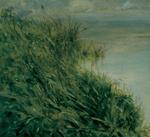Studie van moeras door Giuseppe or Joseph de Nittis