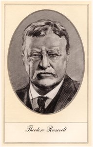Theodore Roosevelt, 26e president van de Verenigde Staten