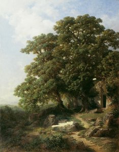 Kastanjes in Zuid-Tirol door Gottfried Seelos