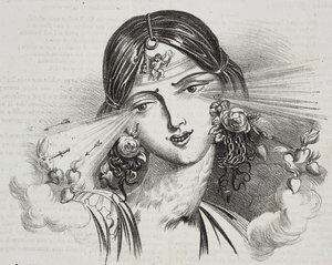 Vrouwelijke schoonheid, karikatuur door Jean-Jacques Grandville, lithografie door Gaetano Riccio uit Poliorama Pittoresco, nr. 20, 24 december door Grandville
