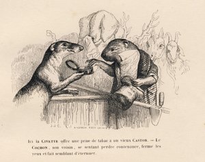 Een civetkat biedt een oude bever een snuifje tabak aan, het varken achter hem probeert zich in te houden. Vignetten geïllustreerd door JJ Granville. Gravure gesigneerd door Andrew Best en Leloir in het proloog getiteld 