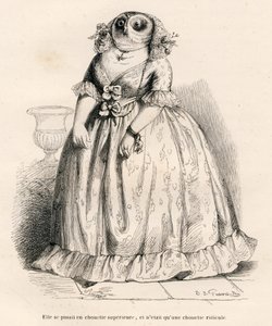 Uil die zichzelf superieur acht maar slechts belachelijk is. Vignetten geïllustreerd door JJ Granville. Gravure gesigneerd Rouget in het deel 