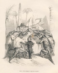 Krokodillen rond een tafel in Egypte